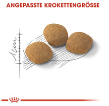 Drei Futterkroketten mit Größenangabe für Hunde