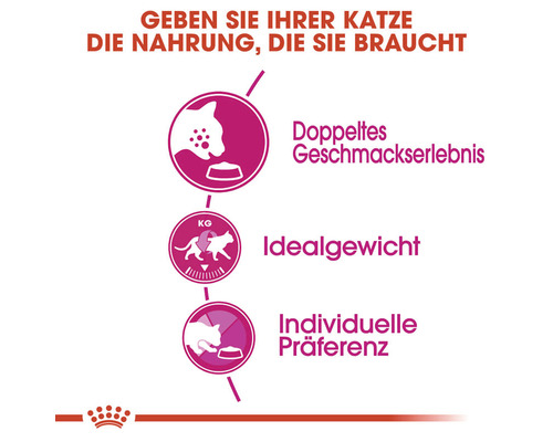 Katzenfutter Vorteile: doppelter Geschmack, ideales Gewicht, individuelle Praeferenz