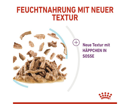 Feuchtnahrung mit Stücken in Soße