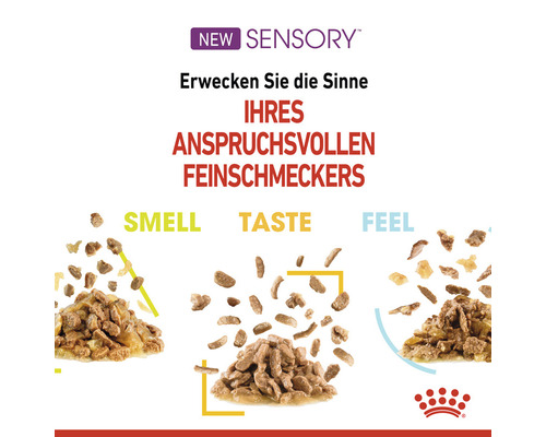 Katzenfutter für anspruchsvolle Feinschmecker mit Fokus auf Geruch, Geschmack und Textur