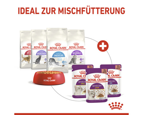 Royal Canin Katzenfutter-Set mit Trocken- und Feuchtfutter sowie Futternapf
