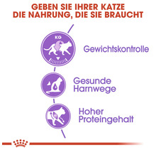 Informationen zu Gewichtskontrolle, gesunden Harnwegen und hohem Proteingehalt für Katzenfutter