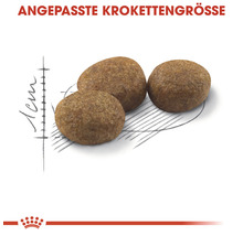 Drei Futterkroketten für Haustiere mit Größenangabe