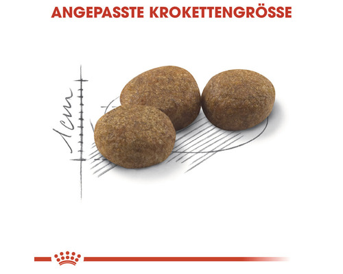 Drei Stück Hundetrockenfutter mit Größenangabe