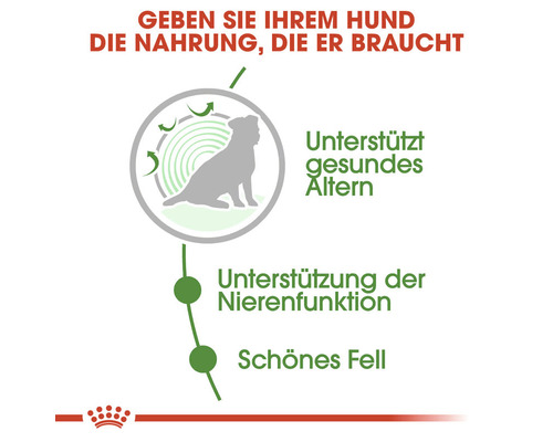Grafik zur Unterstützung eines gesunden Alterns, der Nierenfunktion und eines schönen Fells bei Hunden.