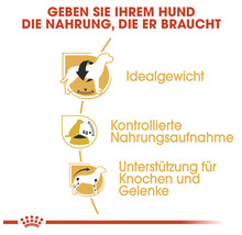 Vorteile von Hundefutter: Idealgewicht, kontrollierte Nahrungsaufnahme, Unterstützung für Knochen und Gelenke