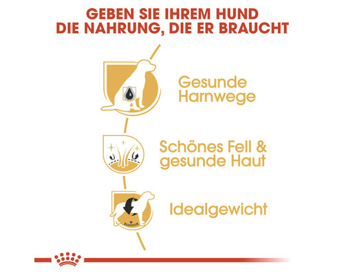 Vorteile von Royal Canin Hundefutter: gesunde Harnwege, schönes Fell und gesunde Haut, Idealgewicht
