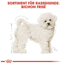 Hundefutter trocken, ROYAL CANIN Bichon Frise 0,5 kg