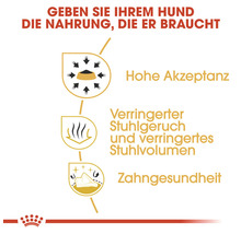 Merkmale von Hundefutter: Hohe Akzeptanz, verringerter Stuhlgeruch, verringertes Stuhlvolumen und Zahngesundheit