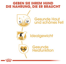 Hundefutter trocken, ROYAL CANIN BHN Cocker adult, 12 kg