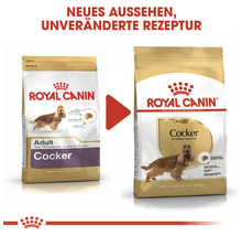 Hundefutter trocken, ROYAL CANIN BHN Cocker adult, 12 kg