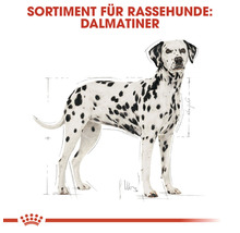 Hundefutter trocken, ROYAL CANIN CC Dalmatian Adult, 12 kg