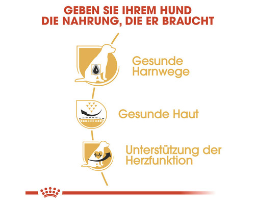 Vorteile von Hundefutter: Gesunde Harnwege, gesunde Haut, Unterstützung der Herzfunktion