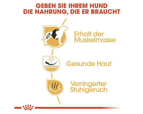 Erhalt der Muskelmasse, gesunde Haut und verringerter Stuhlgeruch für Hunde