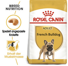 Royal Canin Adult French Bulldog Hundefutter Produktverpackung