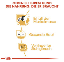 Symbole für den Erhalt der Muskelmasse, gesunde Haut und reduzierten Stuhlgeruch beim Hundefutter