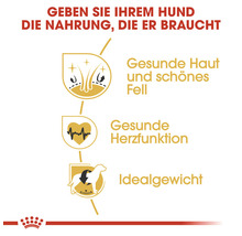 Vorteile von Hundefutter: Gesunde Haut und Fell, gesunde Herzfunktion und Idealgewicht