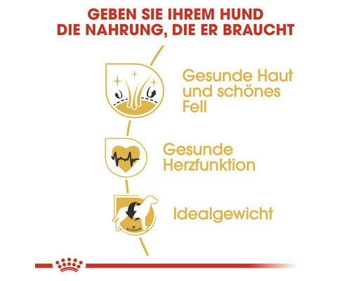 Vorteile von Hundefutter: Gesunde Haut und Fell, gesunde Herzfunktion und Idealgewicht