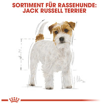 Illustration eines Jack Russell Terriers für Hundefutter Sortiment