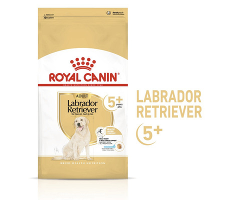 Royal Canin Labrador Retriever Adult Hundefutter ab 5 Jahren