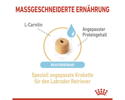 Illustration einer speziell angepassten Krokette mit L-Carnitin für Labrador Retriever, rehydrierbar und mit angepasstem Proteingehalt