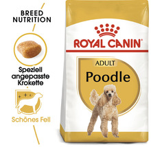 Royal Canin Adult Pudel Hundefutter