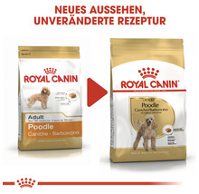 Zwei Packungen Royal Canin Adult Poodle Hundefutter im Vergleich