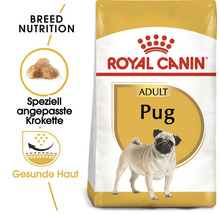 Royal Canin Adult Pug Hundefutter-Packung