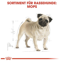 Illustration eines Mops für Hundefutter Sortiment
