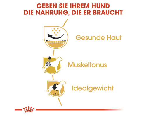 Darstellung der Vorteile von Hundefutter: Gesunde Haut, Muskeltonus und Idealgewicht.