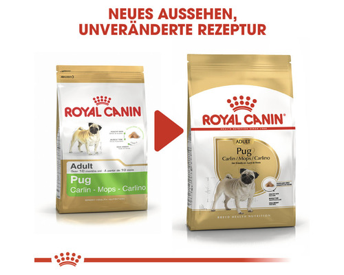 Zwei Packungen Royal Canin Pug Hundefutter für ausgewachsene Möpse
