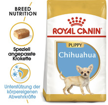 Hundefutter trocken ROYAL CANIN Chihuahua Puppy Welpenfutter 500 g