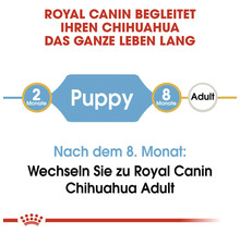 Hundefutter trocken ROYAL CANIN Chihuahua Puppy Welpenfutter 500 g