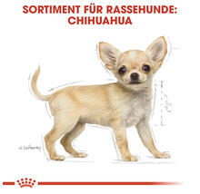 Hundefutter trocken ROYAL CANIN Chihuahua Puppy Welpenfutter 500 g