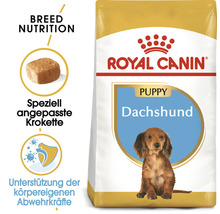 Royal Canin Welpenfutter für Dackel