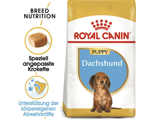 Royal Canin Welpenfutter für Dackel