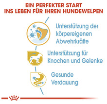 Grafik zum Thema Unterstützung der Abwehrkräfte, Knochen, Gelenke und Verdauung von Hundewelpen