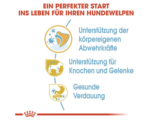 Grafik zum Thema Unterstützung der Abwehrkräfte, Knochen, Gelenke und Verdauung von Hundewelpen