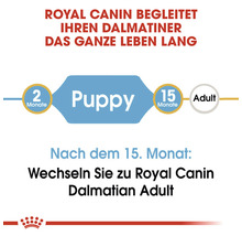 Hundefutter trocken, ROYAL CANIN CC Dalamtian Junior, 12 kg