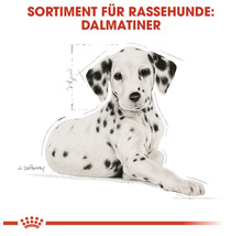 Hundefutter trocken, ROYAL CANIN CC Dalamtian Junior, 12 kg