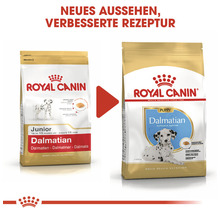 Hundefutter trocken, ROYAL CANIN CC Dalamtian Junior, 12 kg
