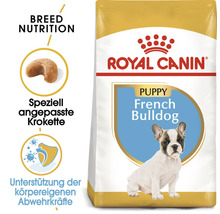 Hundefutter trocken ROYAL CANIN French Bulldog Puppy Welpenfutter trocken für Französische Bulldoggen 10 kg