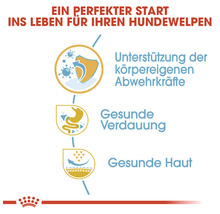 Hundefutter trocken ROYAL CANIN French Bulldog Puppy Welpenfutter trocken für Französische Bulldoggen 10 kg