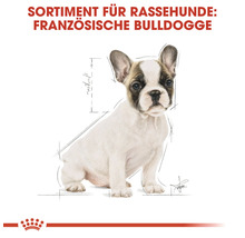 Hundefutter trocken ROYAL CANIN French Bulldog Puppy Welpenfutter trocken für Französische Bulldoggen 10 kg