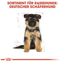 Hundefutter trocken, ROYAL CANIN CC Germ. Shepherd Junior, 12 kg