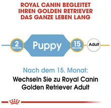 Royal Canin begleitet Golden Retriever das ganze Leben lang. Von zwei Monaten bis zum Erwachsenenalter.