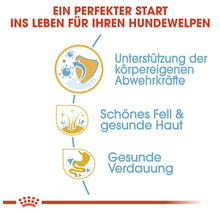 Vorteile von Hundewelpenfutter: Unterstützung der körpereigenen Abwehrkräfte, schönes Fell, gesunde Haut und gesunde Verdauung.