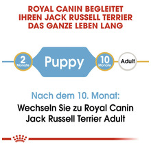 Hundefutter trocken, ROYAL CANIN Jack Russel Junior 1,5 kg
