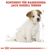 Hundefutter trocken, ROYAL CANIN Jack Russel Junior 1,5 kg