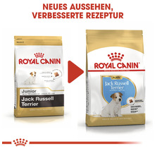 Hundefutter trocken, ROYAL CANIN Jack Russel Junior 1,5 kg